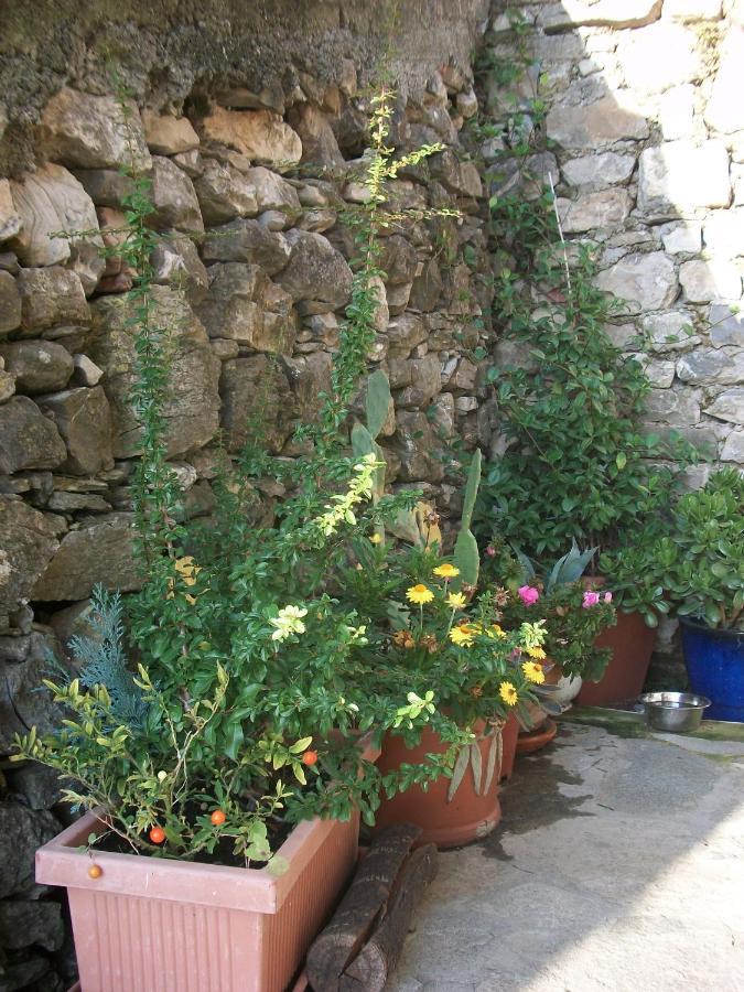 Villa Chezcatherine Sarzana Exterior foto